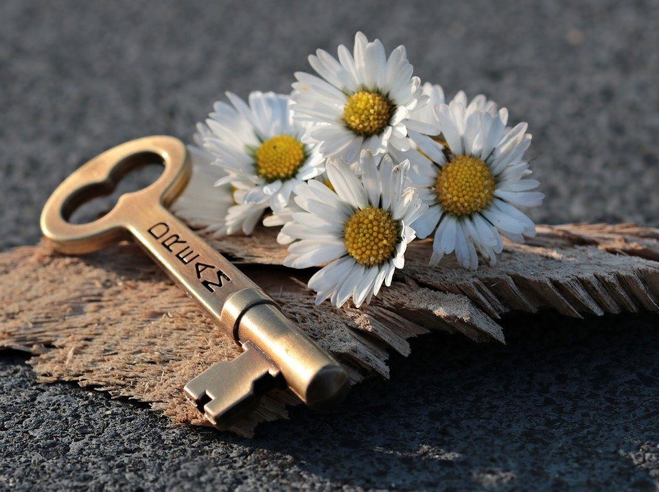 key, heart, daisy